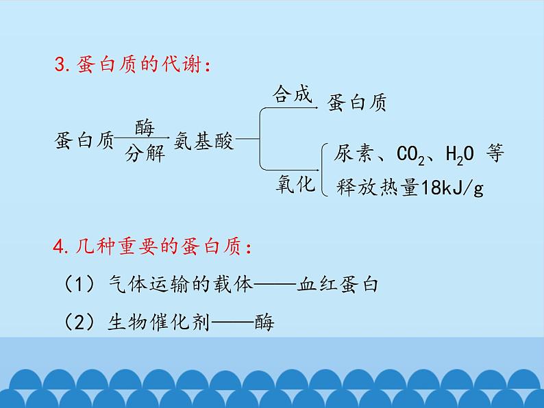 人教版(五四制)九年级全一册化学 第五单元 课题1 人类重要的营养物质_(课件)06