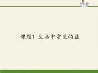 初中化学人教版 (五四制)九年级全册课题1 生活中常见的盐课堂教学ppt课件