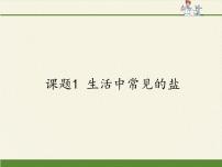 人教版 (五四制)九年级全册课题1 生活中常见的盐教课课件ppt