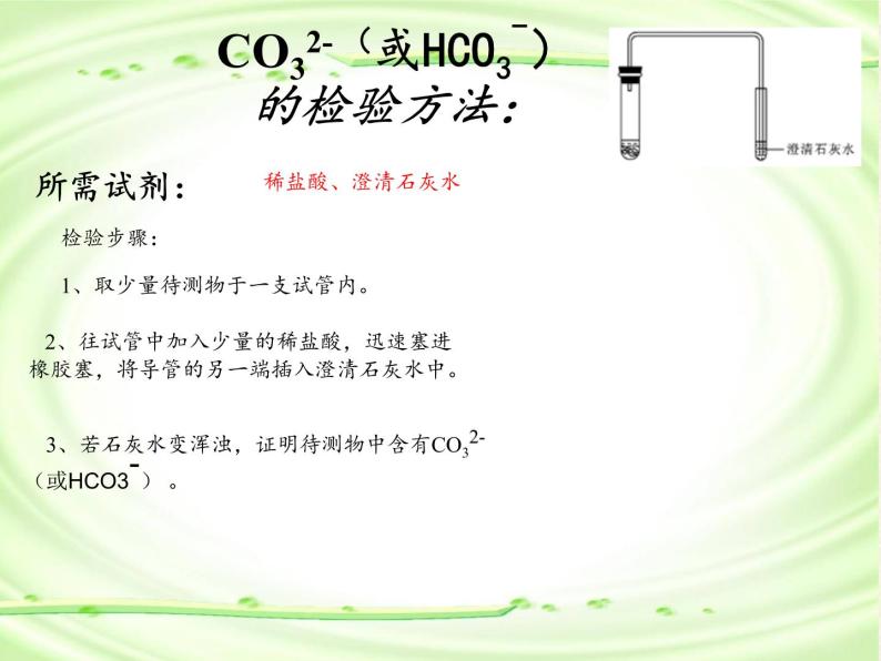 人教版（五四制）九年级全一册化学 第四单元 课题1 生活中常见的盐(2)（课件）07