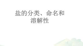 初中化学鲁教版 (五四制)九年级全册3 海水“制碱”图片课件ppt