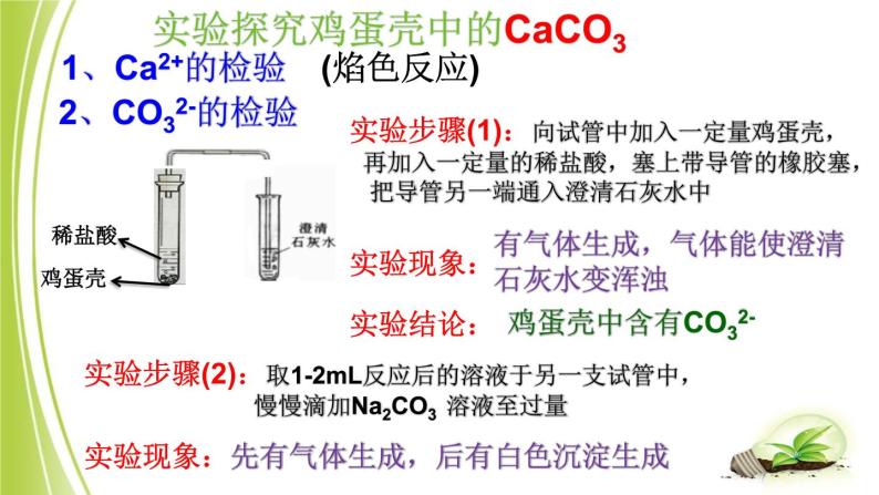 人教版（五四制）九年级全一册化学 第四单元  盐的化学性质复习（课件）05