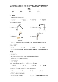 云南省昭通市昭阳区2021-2022学年九年级上学期期中化学试题(word版含答案)