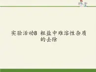 人教版（五四制）九年级全一册化学 第四单元实验活动5  粗盐中难溶性杂质的去除(5)（课件）