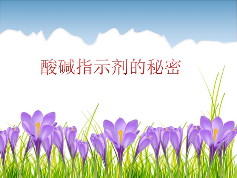 人教版(五四制)九年级全一册化学 第三单元 酸碱指示剂的秘密(课件)第3页