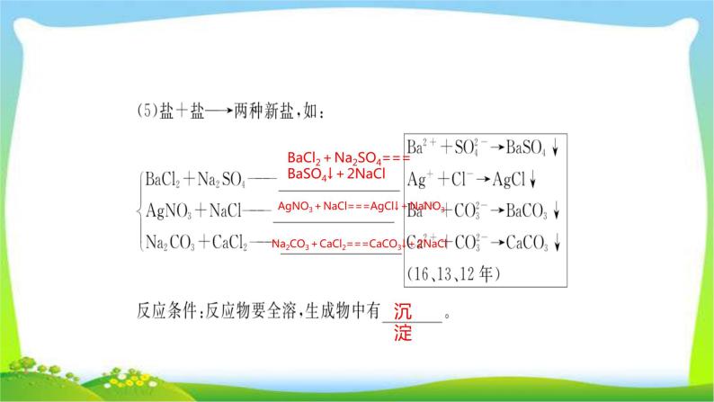 中考化学总复习第7节常见的盐和化肥课件PPT06
