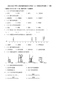 2020-2021学年上海市浦东新区九年级（上）期末化学试卷（一模）