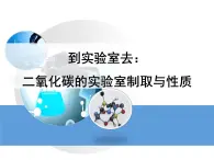 二氧化碳的实验室制取与性质PPT课件免费下载