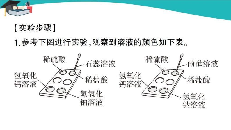 人教版初中化学九年级下册  第十单元  实验活动6 酸、碱的化学性质课件PPT04