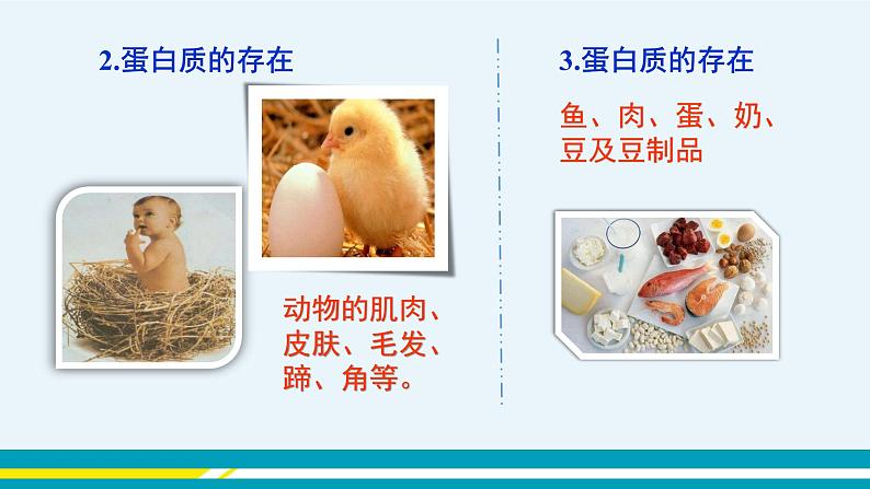 人教版初中化学九年级下册 第十二单元 课题1《人类重要的营养物质》课件+教案+练习07