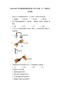 2020-2021学年湖南省株洲市渌口区九年级（上）期末化学试卷