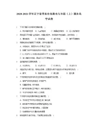 2020-2021学年辽宁省丹东市东港市九年级（上）期末化学试卷