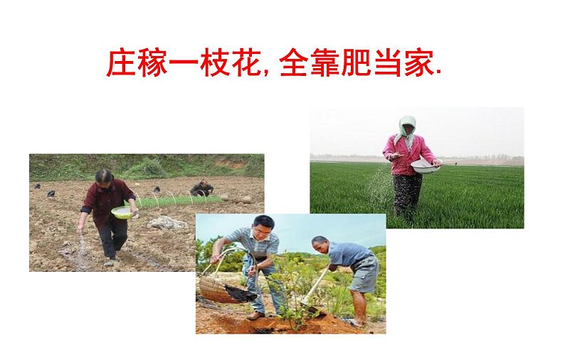 北京课改版九年级化学下册 12.3化学肥料 课件第3页