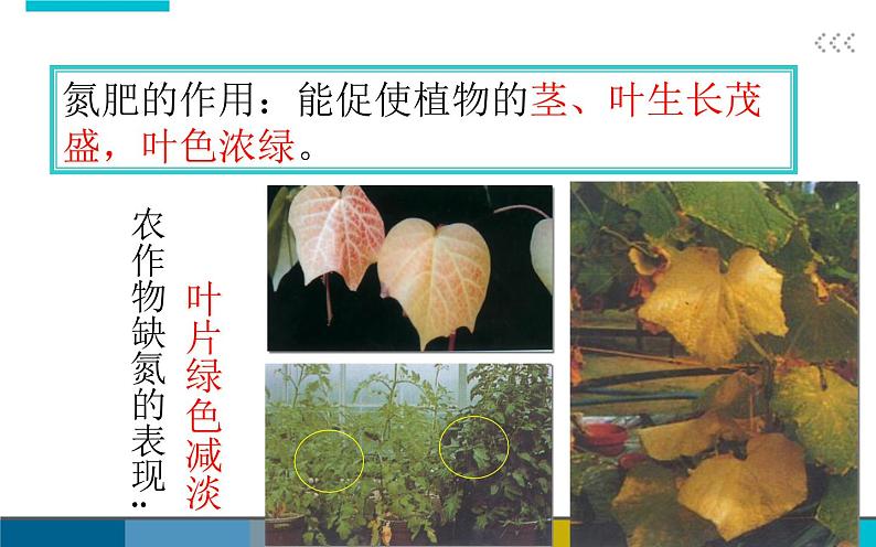 北京课改版九年级化学下册 12.3化学肥料 课件第6页
