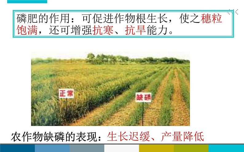 北京课改版九年级化学下册 12.3化学肥料 课件第8页