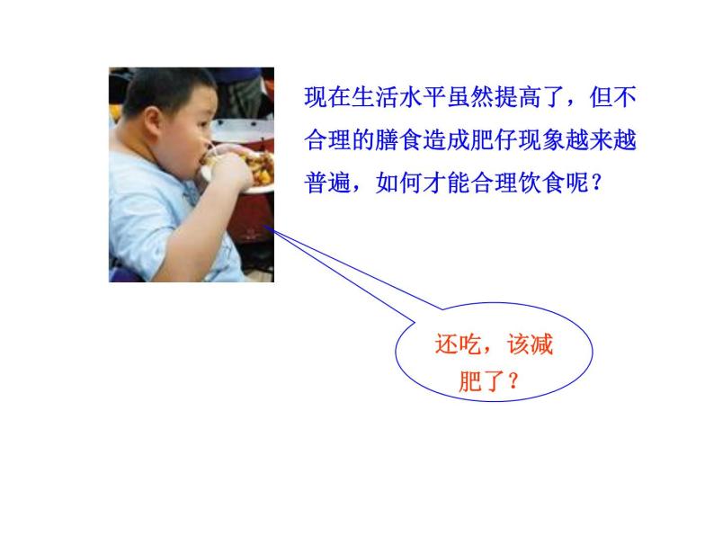 北京课改版九年级化学下册 13.1食物中的营养物质 课件04