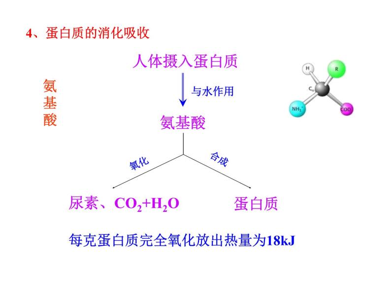 北京课改版九年级化学下册 13.1食物中的营养物质 课件08