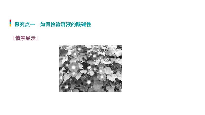 7-3 溶液的酸碱性课件PPT07