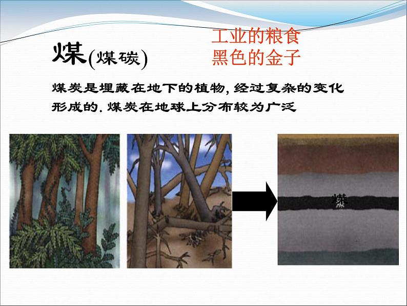 6-3 化石燃料课件PPT第6页