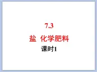 仁爱湘教版九下化学 7.3《盐、化学肥料》第一课时 (共29张PPT)