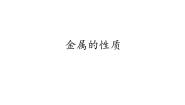 初中化学仁爱湘教版九年级下册实验8 金属的性质精品课件ppt