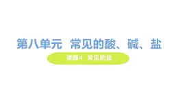 8.4 常见的盐 课件-2020-2021学年九年级化学下册（科粤版）