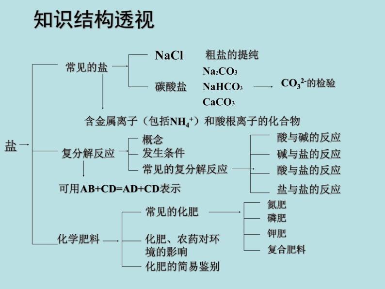 人教版初中化学九下《第11单元 盐 化肥》课件PPT03