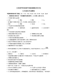 精品解析：2020年四川省攀枝花市西区中考一模化学试题（解析版+原卷版）
