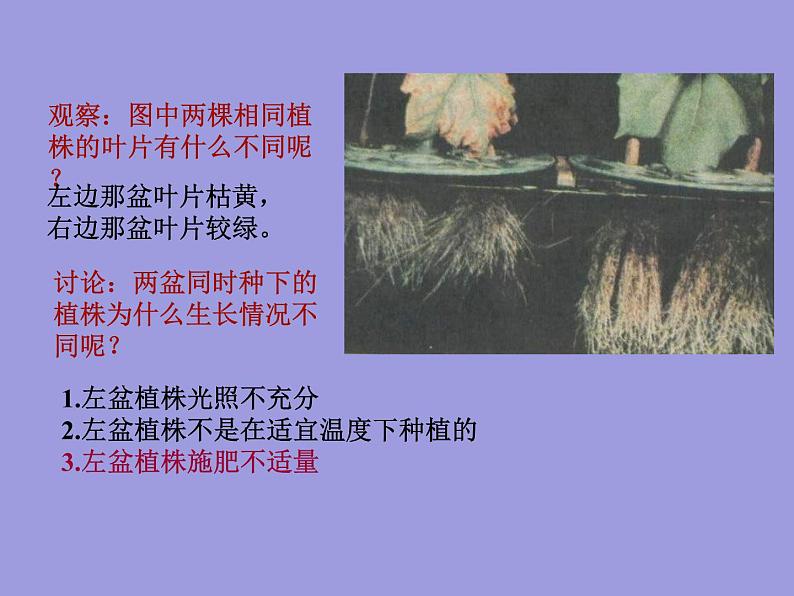 人教五四制初中化学九下《第十一单元 课题2 化学肥料》课件PPT第3页