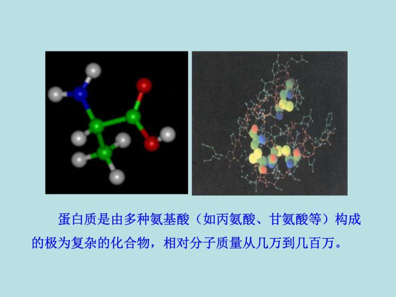 人教五四制初中化学九年级全册《第五单元 课题1 人类重要的营养物质》课件PPT07