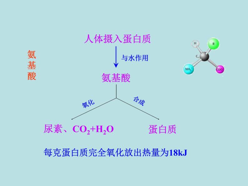 人教五四制初中化学九年级全册《第五单元 课题1 人类重要的营养物质》课件PPT08