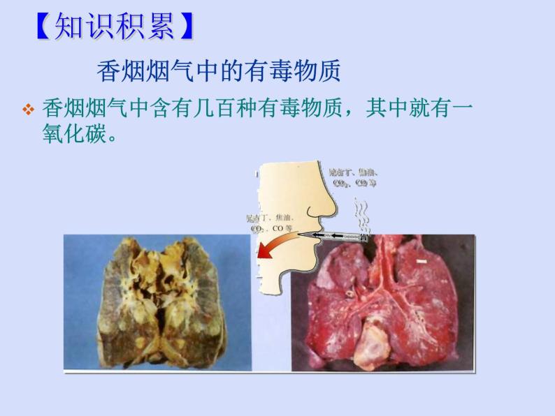 人教五四制初中化学九年级全册《第五单元 课题1 人类重要的营养物质》课件PPT04