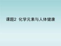 人教版 (五四制)九年级全册课题2 化学元素与人体健康图片ppt课件