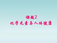 人教五四制初中化学九年级全册《第五单元 课题2 化学元素与人体健康》课件PPT