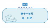 2022届初中化学一轮复习 第十一单元　盐　化肥 课件