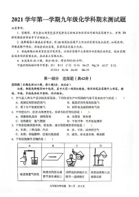 广东省广州市番禺区2021-2022学年上学期九年级化学期末测试题(无答案)