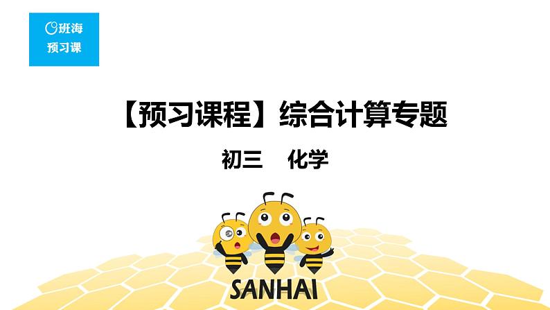 化学九年级-12.5【预习课程】综合计算专题第1页