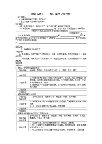 化学九年级下册实验活动6 酸、碱的化学性质学案