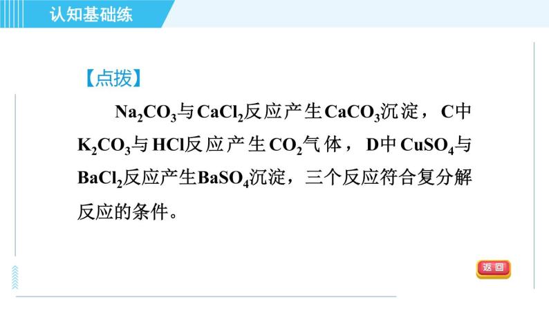 人教版九年级下册化学 第11章 习题课件06