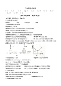 山东省淄博市周村区2021-2022学年九年级上学期期末化学试题（word版 含答案）