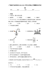 2020-2021学年广西南宁市宾阳县九年级上学期期中化学试题（含答案与解析）
