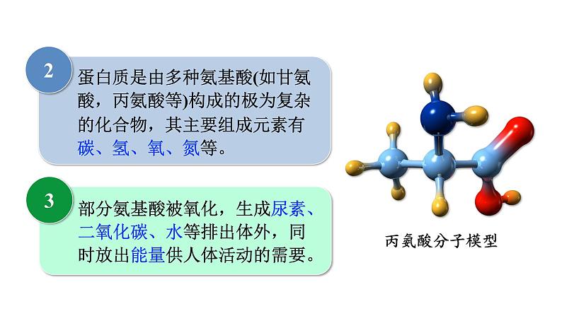人教版九年级化学下册 12.1人类重要的营养物质 课件05