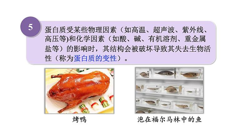 人教版九年级化学下册 12.1人类重要的营养物质 课件07