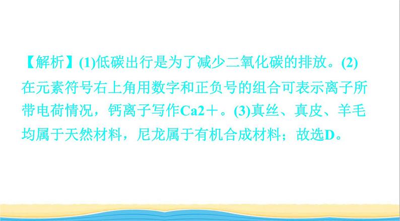 中考化学总复习一轮复习第二单元化学基本概念和原理第8讲化学与社会课件04
