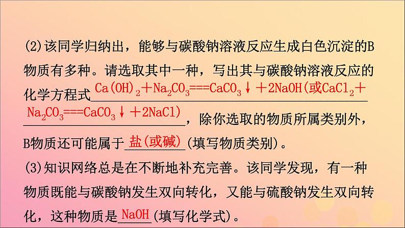 山东专版中考化学总复习第九讲海水中的化学第2课时盐及其性质课件五四制第4页