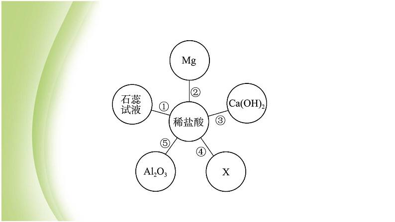山东省济南市中考化学总复习第九讲酸和碱课件第6页