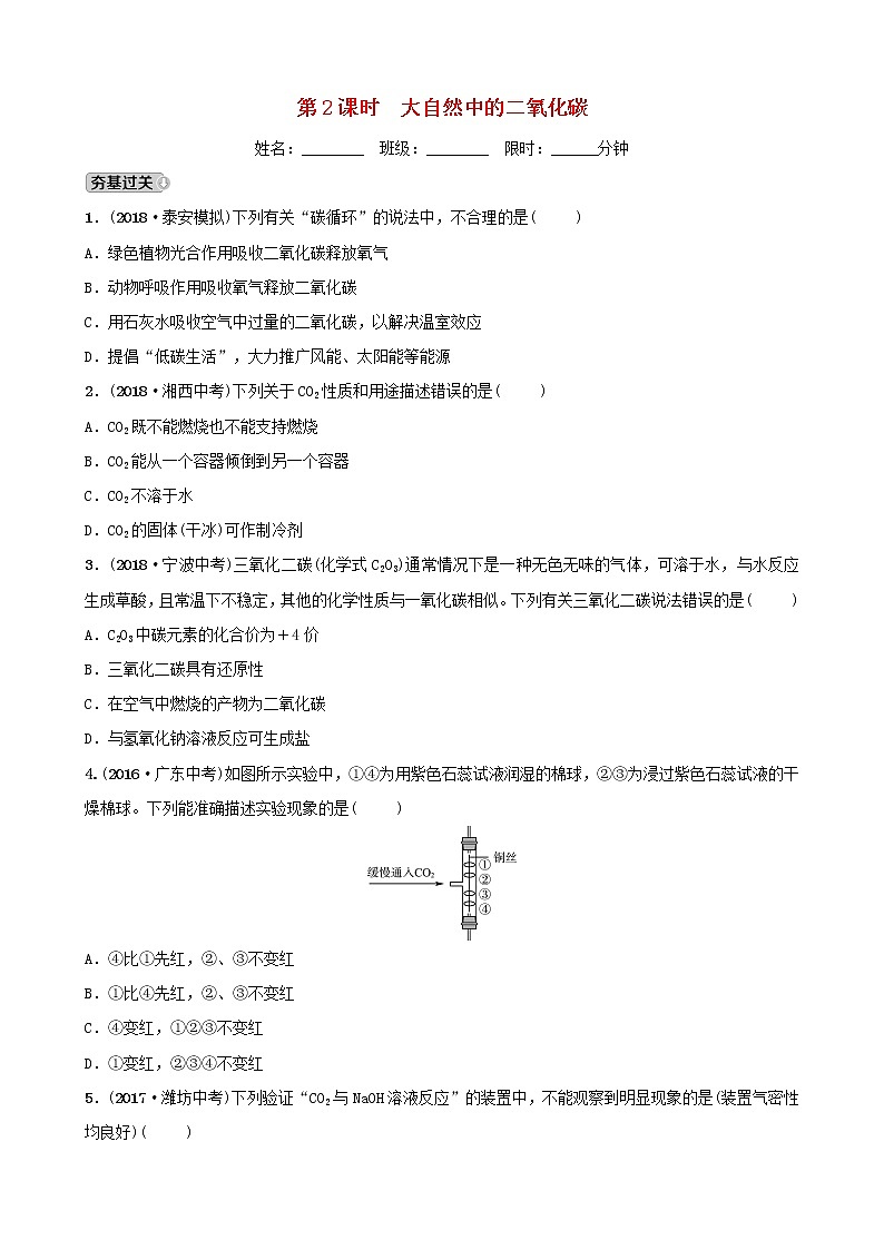 山东专版中考化学总复习第六讲燃料与燃烧第2课时大自然中的二氧化碳练习五四制第1页