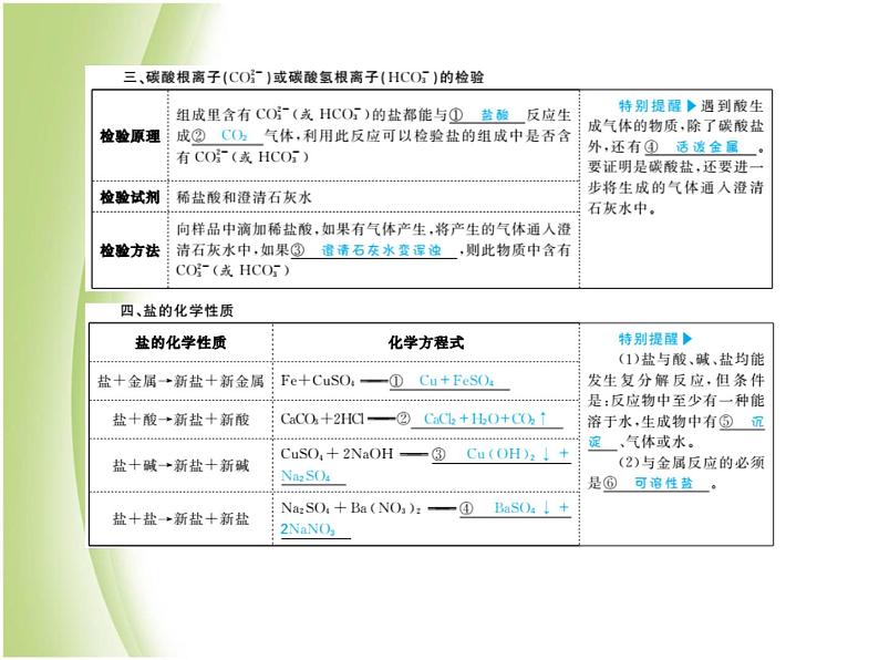 菏泽专版中考化学总复习第一部分第十一单元盐化肥课件新人教版第5页