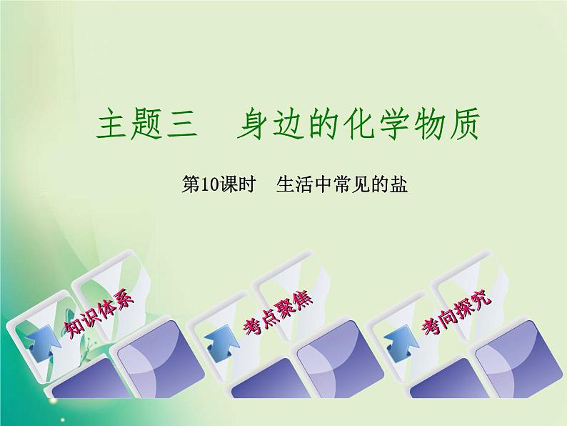 北京专版中考化学基础复习三身边的化学物质第10课时生活中常见的盐课件第1页