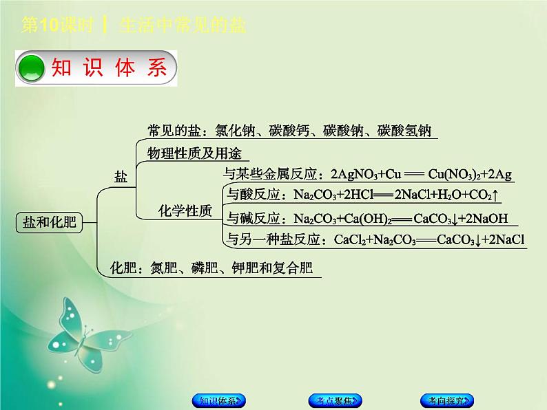 北京专版中考化学基础复习三身边的化学物质第10课时生活中常见的盐课件第2页
